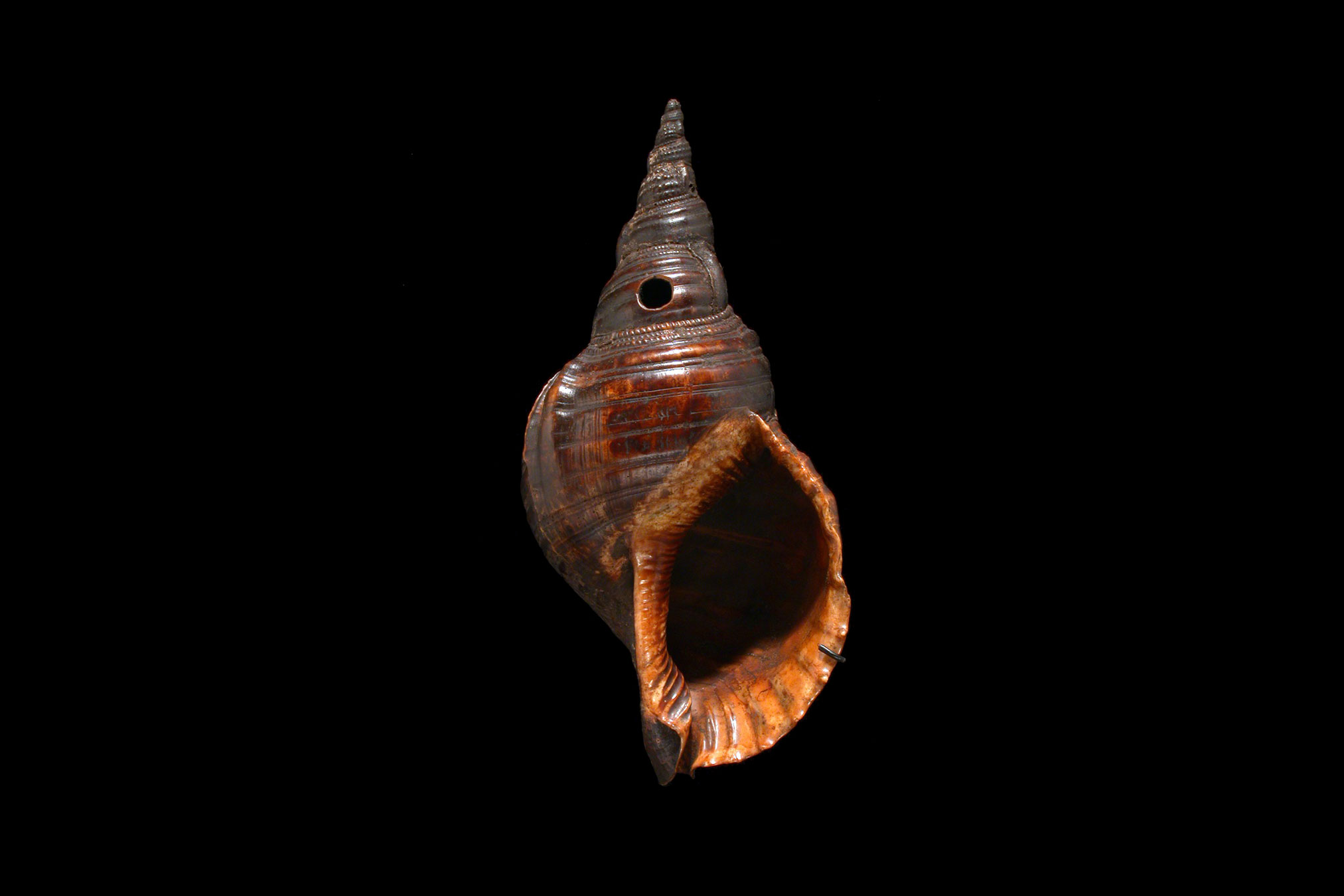 680-DSCN5435